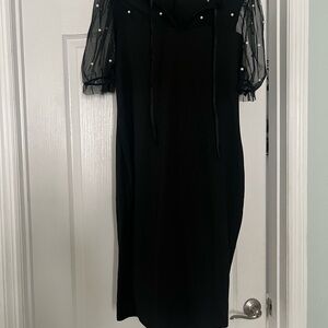 Elegant Black Dress with Sheer Sleeves